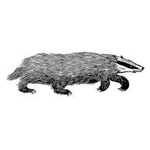 Badger Run