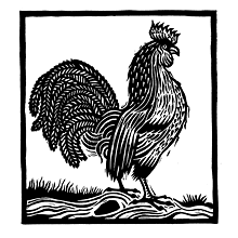 Rooster
