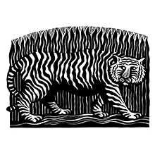 Tiger, Tiger